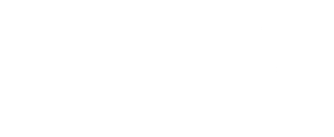 Logo Footer